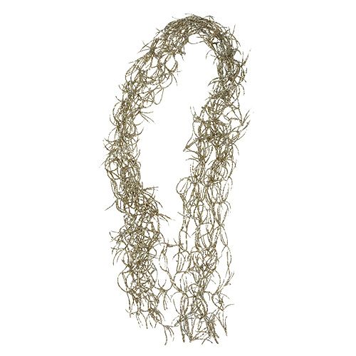 Floristik24 Filo decorativo Tillandsia Oro 100 cm 10 pezzi