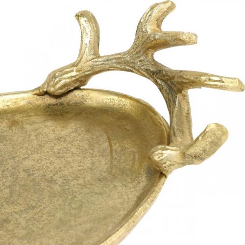 Vassoio decorativo in corno di cervo dorato vassoio vintage ovale L35×L17cm