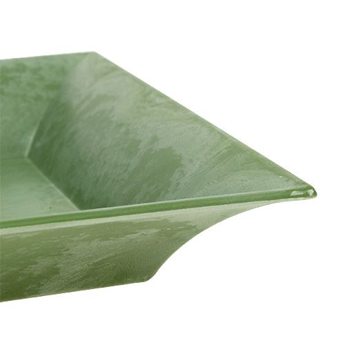 Floristik24 Vassoio decorativo verde 36 cm x 17 cm