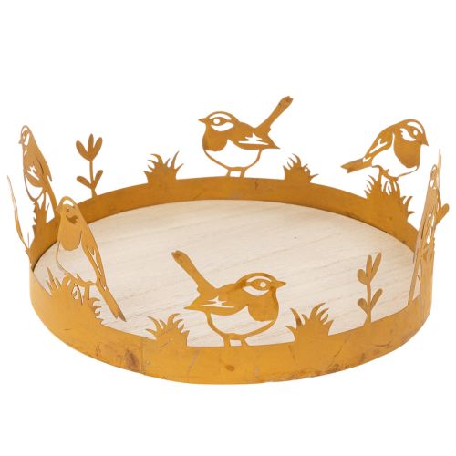 Vassoio decorativo, decorazione da tavola con uccellini, decorazione primaverile, metallo arrugginito, Ø20cm H8.5cm acquistare | Floristik24.it