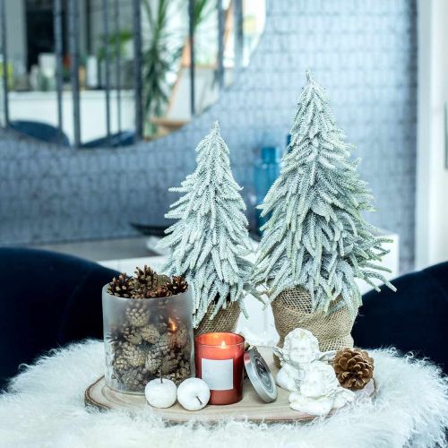 Floristik24 Abete decorativo con neve, decorazione dell'avvento, abete in vaso H37cm