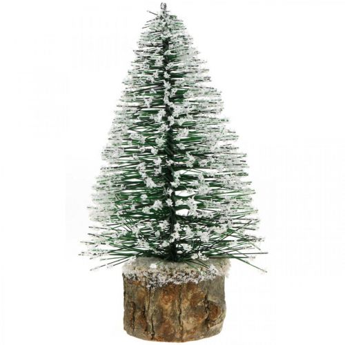Floristik24 Decorazione natalizia, albero di Natale decorativo, mini abete verde con neve H15cm Ø9,5cm 6 pz