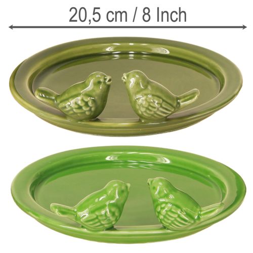 Prodotto Piatto decorativo vasca per uccelli decorazione da tavolo ceramica verde Ø20,5cm 2pz