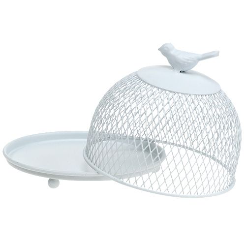 Floristik24 Piatto decorativo con cappuccio bianco Ø14cm