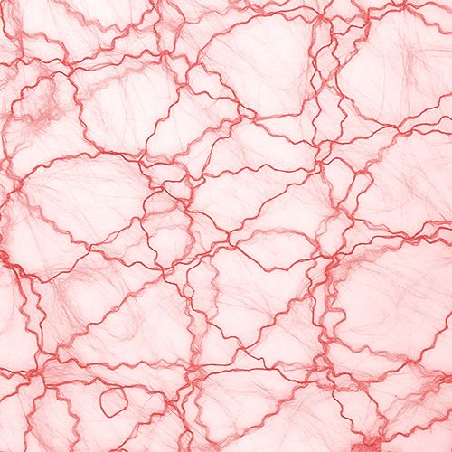 Floristik24 Nastro da tavolo in pile decorativo rosso 30cm 5m