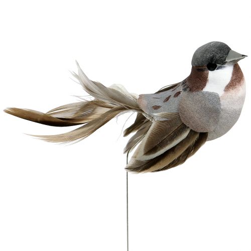 Floristik24 Deco Bird Grey, Brown 8,5cm 12pcs