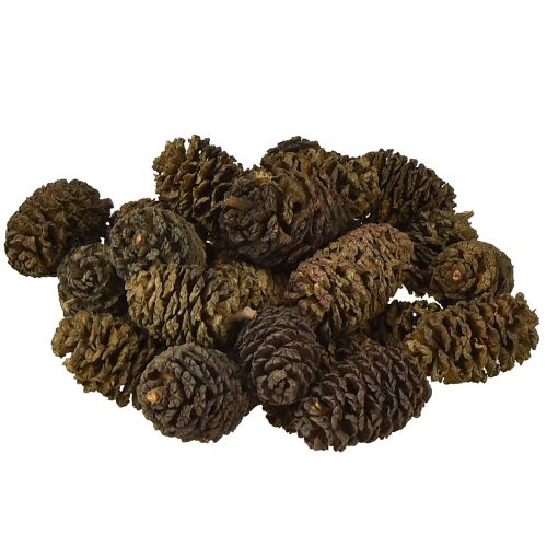 Pigne decorative di ontano naturali per decorare 3-4 cm 200 g