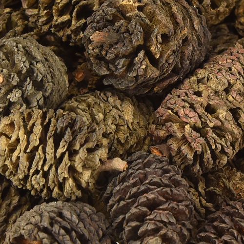 Prodotto Pigne decorative di ontano naturali per decorare 3-4 cm 200 g