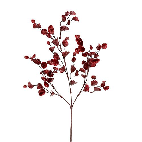 Floristik24 Ramo decorativo rosso scuro 74cm 6pz