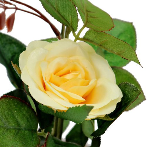 Floristik24 Rosa decorativa in vaso giallo 23cm