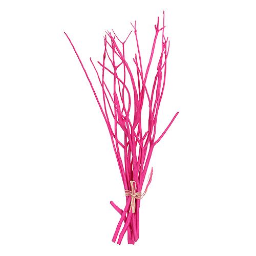 Floristik24 Rami decorativi Mitsumata 45-60cm rosa 12p