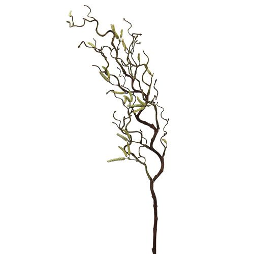 Floristik24 Ramo di betulla decorativo 68 cm