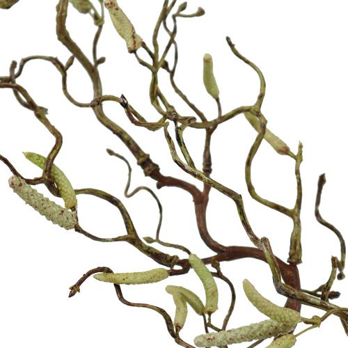 Floristik24 Ramo di betulla decorativo 68 cm