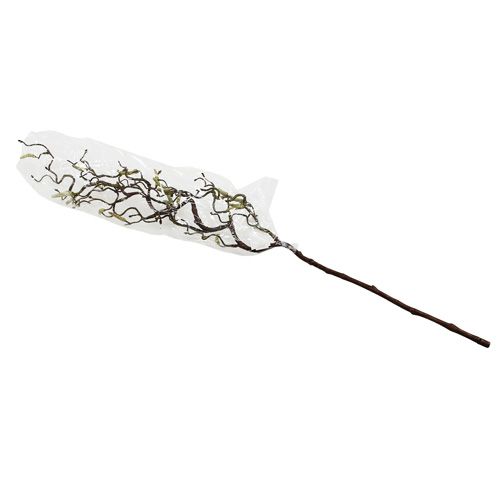 Floristik24 Ramo di betulla decorativo 68 cm