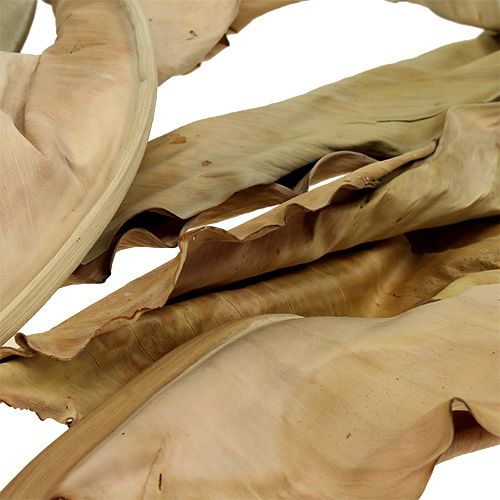 Floristik24 Foglie decorative natura 120 cm 20 pz