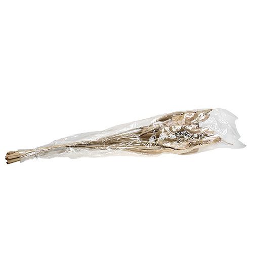 Floristik24 Foglie decorative natura 120 cm 20 pz