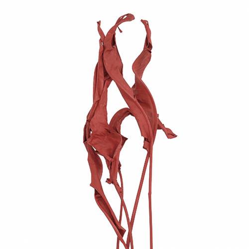 Foglie Deco Strelitzia rosso 85-105cm 10p