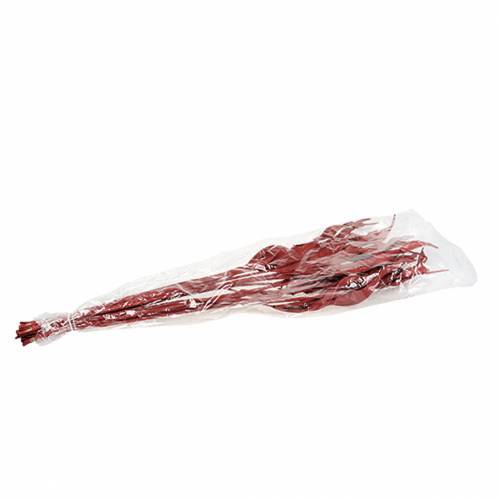 Floristik24 Foglie decorative Strelitzia rosse 85-105 cm 10 pezzi