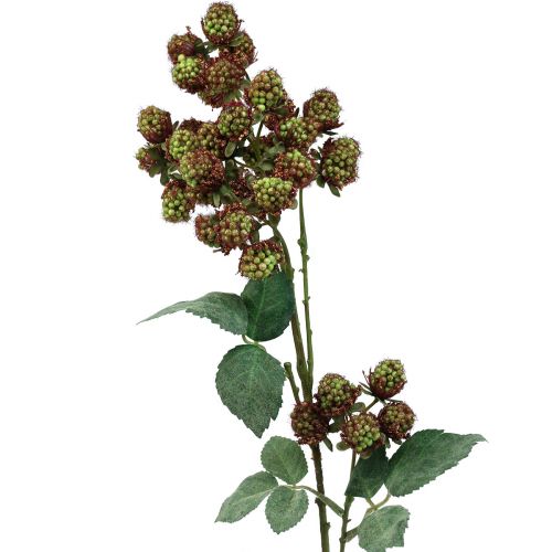 Floristik24 Ramo di gelso decorativo, ramo di bacche, ramo di gelso verde 78 cm