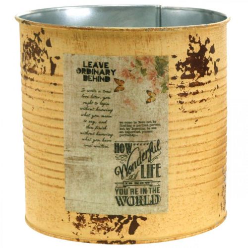 Floristik24 Scatola decorativa albicocca vaso per piante in metallo decorazione estiva Ø15,5 cm H15 cm