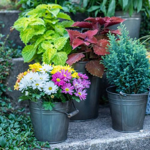 Floristik24 Secchio decorativo con manico, decorazione da giardino, vaso per piante, contenitore in metallo Ø16,5 cm H15 cm