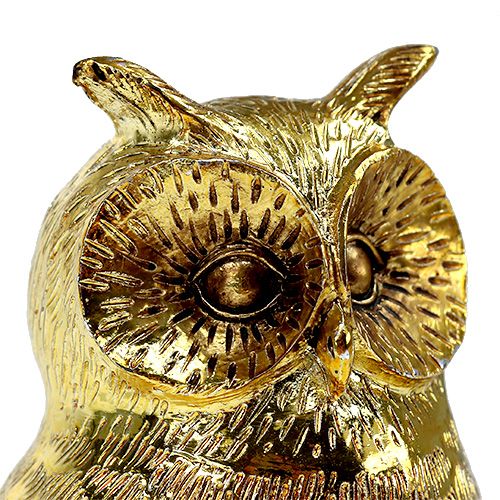 Floristik24 Deco gufo oro, lucido 12cm 4 pezzi