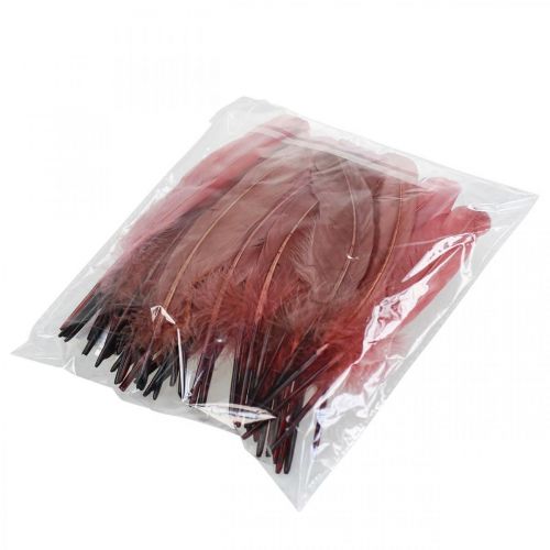 Prodotto Piume decorative per artigianato, vere piume di uccello rosa antico 20 g