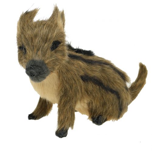 Floristik24 Figurine decorative Frischling L15cm