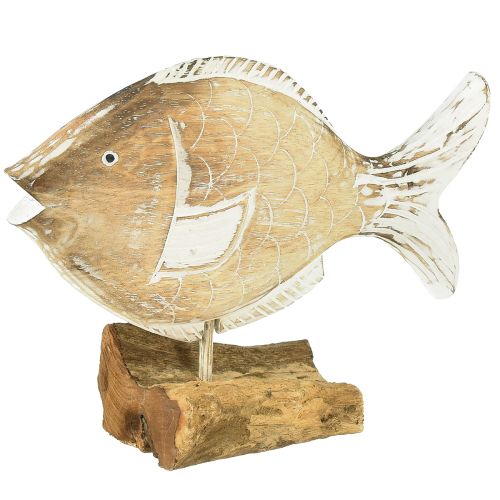 Supporto decorativo in legno per pesci su radice decorazione marittima 27 cm