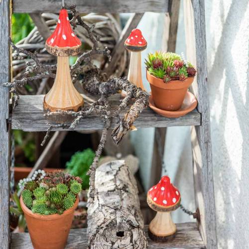 Prodotto Funghi decorativi in legno rosso, naturale 13,5 cm - 19 cm 3 pezzi