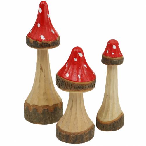 Floristik24 Funghi decorativi in legno rosso, naturale 13,5 cm - 19 cm 3 pezzi