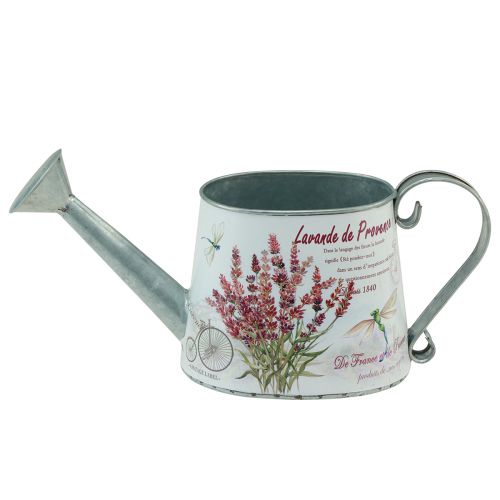 Floristik24 Annaffiatoio decorativo brocca lavanda in metallo 30×11 cm H14,5 cm