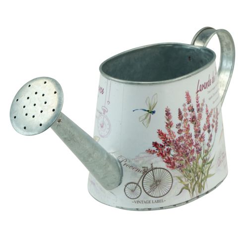 Prodotto Annaffiatoio decorativo brocca lavanda in metallo 30×11 cm H14,5 cm