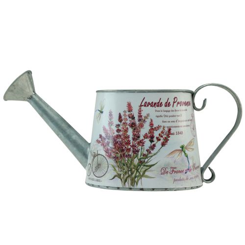 Prodotto Annaffiatoio decorativo brocca lavanda in metallo 30×11 cm H14,5 cm