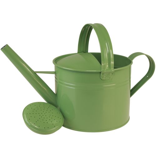 Prodotto Annaffiatoio decorativo per piantare menta metallica H26cm 5L