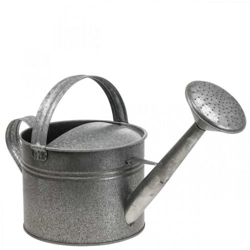 Annaffiatoio decorativo in zinco per piantare lattine H27cm