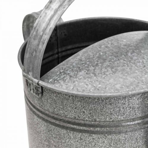 Prodotto Annaffiatoio decorativo in zinco per piantare lattine H27cm