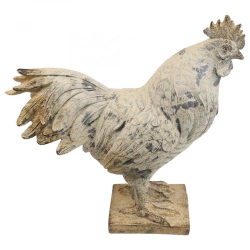 Floristik24 Gallo decorativo per giardino figura decorativa effetto pietra H26cm