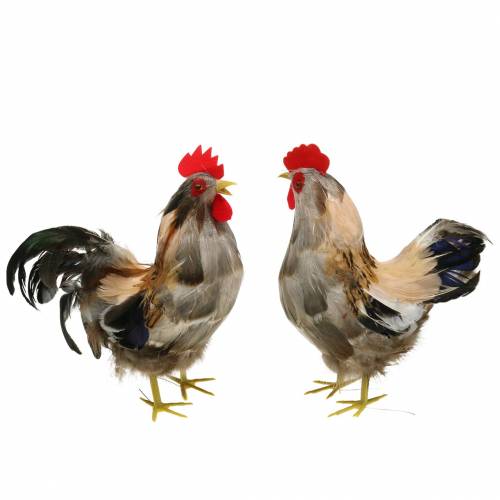 Floristik24 Gallo e gallina con decorazione pasquale con piume naturali H26cm set di 2