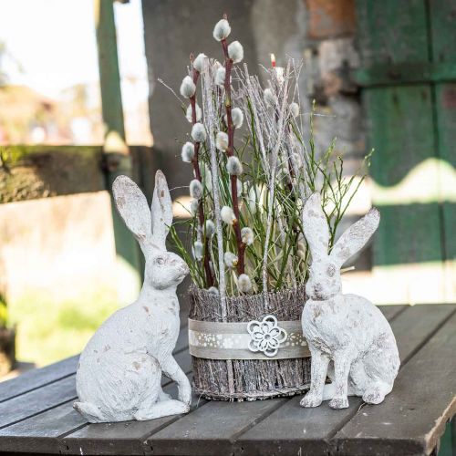 Floristik24 Coniglio decorativo seduto shabby chic decorazione primaverile H25cm 2pz