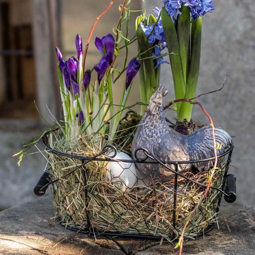 Floristik24 Deco polli figura decorativa figura da giardino pollo vintage H17cm 2 pezzi