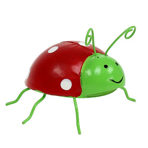 Prodotto Deco beetle colori assortiti 8cm 3pz