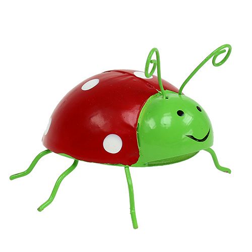 Floristik24 Deco beetle colori assortiti 8cm 3pz
