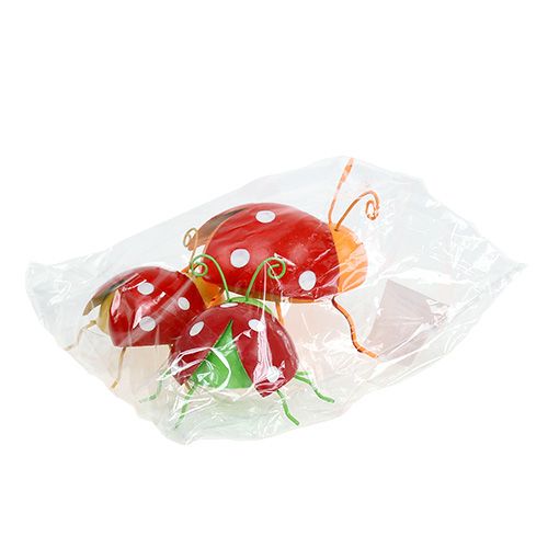 Floristik24 Deco beetle colori assortiti 8cm 3pz