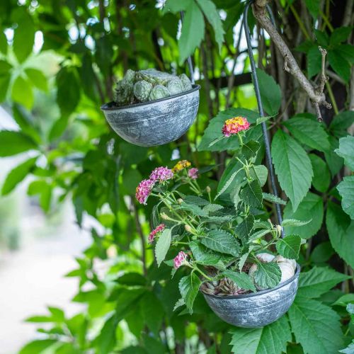 Floristik24 Cazzuola decorativa in metallo, ciotola decorativa per appendere Grigio Ø13cm