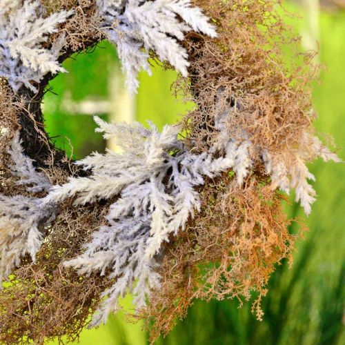 Prodotto Corona decorativa erba di pampa artificiale crema, ghirlanda porta marrone Ø60cm