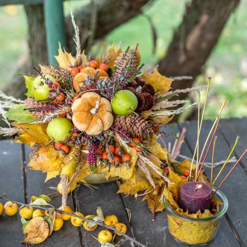 Prodotto Spina decorativa zucca decorativa arancione, marrone morbido Ø6,5m 9 pz