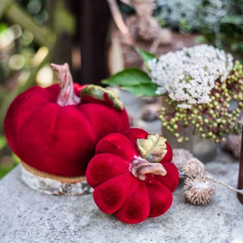 Floristik24 Decorazione della tavola rossa zucca decorativa autunno poliresina 10,5×9 cm 2 pezzi