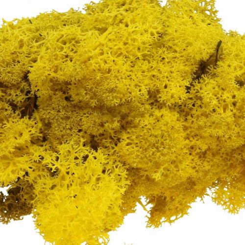 Prodotto Muschio di renna giallo muschio Deco per artigianato giallo limone 500 g