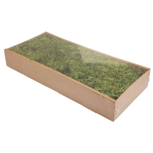 Prodotto Muschio decorativo essiccato muschio di bosco verde decorazione naturale 300g